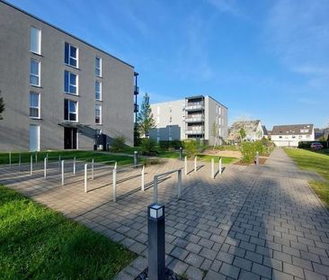 Demnächst frei! 2-Zimmer-Wohnung in Essen Altenessen-Nord - Photo 6