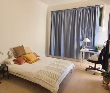 Hawthorn East - Photo 5