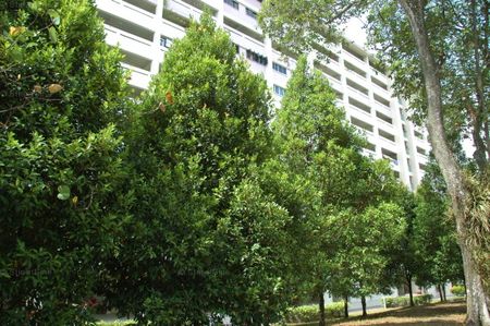 Blk 12 MARSILING LANE (Woodlands), HDB 3 Rooms - For Rent - Photo 3