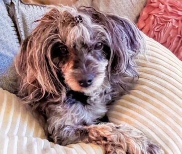 Grundtvigsgatan, Bromma - Foto 5