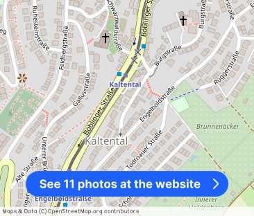 Haus in Haus: lichtdurchflutete 4-Zimmer-Wohnung in toller Lage - Photo 1