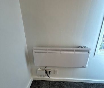 Sunny, Warm, Secure, Renovated unit - Photo 2