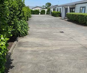 NO LAWNS, NEWLY RENOVATED PROPERTY - Photo 4