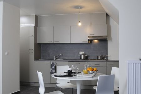 Gemeubeld dakappartement met groot terras - Photo 5