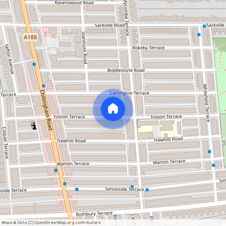 113, Tosson Terrace, Heaton, Newcastle Upon Tyne, NE6 5LY