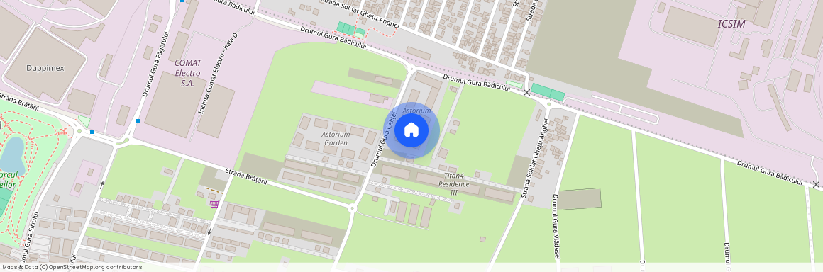 Theodor Pallady, Bucuresti