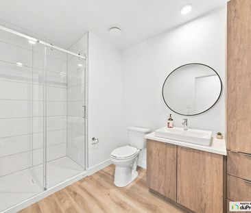 5805, rue Amédée-Lacroix, St-Hyacinthe à louer - Photo 6