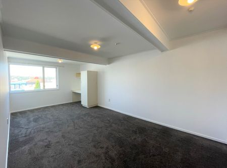 395B Princes Street, Dunedin Central, Dunedin City - Photo 4