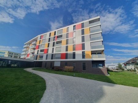 Vevey 250 / 2 1/2 pièces au dernier étage - Foto 3