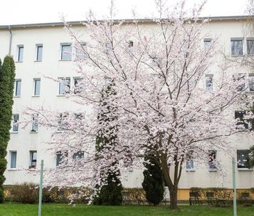 Gemütliche 2-Raumwohnung in Hohenmölsen - Photo 4