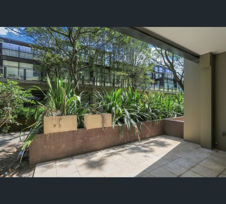 C5/18 Jacques St, Chatswood, NSW 2067 - Photo 3