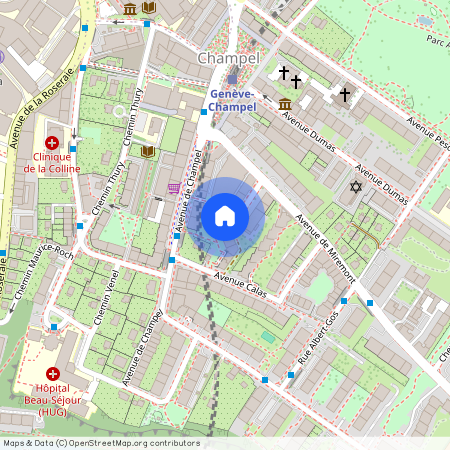 Rue Louis - Curval 10, 1206 Genève