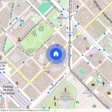 Carrer de Wellington, Barcelona, Catalonia 08018