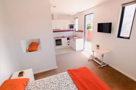 Large Studio - Photo 5