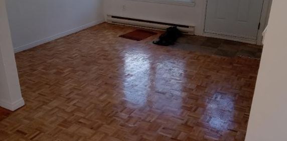 5 1\2 rue Bowen Sherbrooke 1230$ - Photo 2