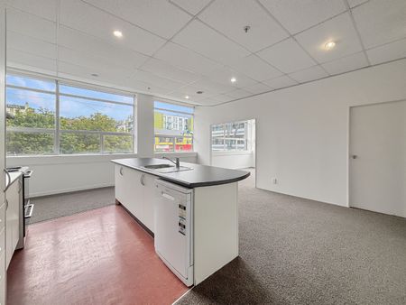 Welcome to 202/115 Vivian Street, Te Aro - Photo 4