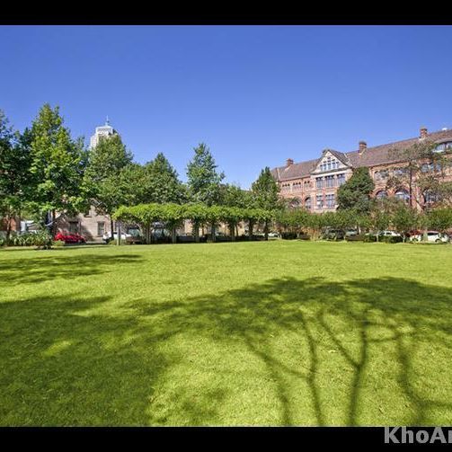 93/344 Bulwara Road, Ultimo NSW 2007 - Apartment For Rent | Domain - Photo 1