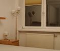 mazowieckie, Warszawa, Mokotów, Górny Mokotów, Domaniewska - Zdjęcie 4