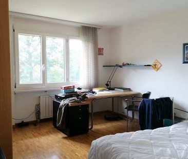 Ruhige Wohnung im Grünen! - Foto 5