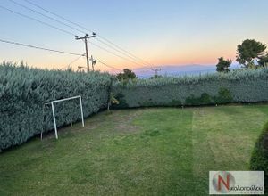 Μονοκατοικία για ενοικίαση - Νέα Μάκρη, - Photo 2