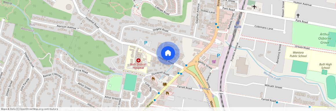 16 Hospital Road, NSW 2516, Bulli