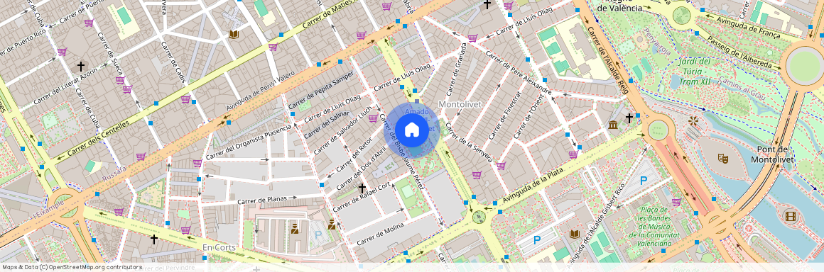 Mont-Olivet, València