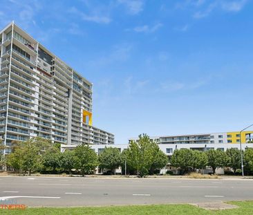 14/60 Callam Street, Phillip ACT 2606 - Apartment For Rent | Domain - Photo 1