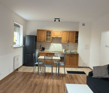 mieszkanie na wynajem Szczecin Niebuszewo - Photo 2