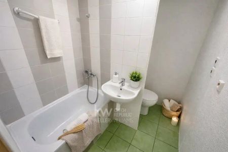 Pronájem bytu 1+kk 35 m - Fotografie 4