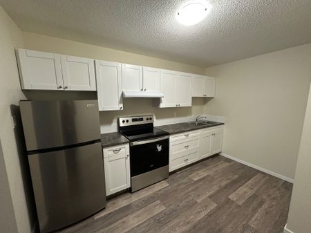 Charming 1 Bed 1 Bath Apartment in heart of DOWNTOWN Red Deer - Photo 5