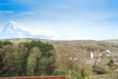 SpringwoodGardens, BELPER - Photo 2