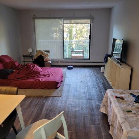 2 bedroom corner unit 2 floor near Lougheed Mall - Photo 1