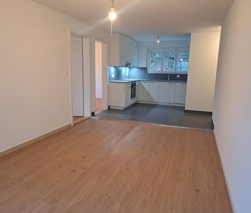 JOLI 3 PIECES RENOVE SITUE AU REZ DE CHAUSSEE PROCHE DU LAC - Photo 1