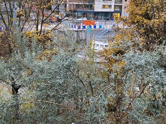 Location Appartement 2 pièces 48m² - Photo 1