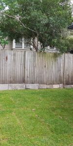 Private and Peaceful Granny Flat - Photo 4