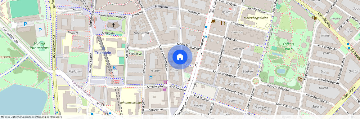 Rådmansvången, Malmö, Skåne, Södra Skolgatan 39