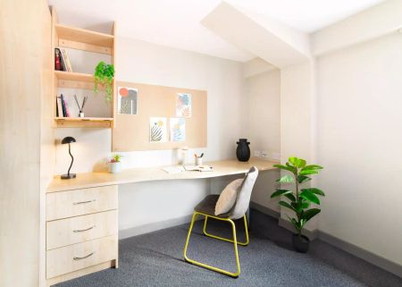 Premium Plus Studio - Photo 4