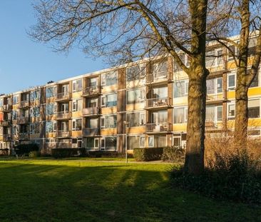 Apartment Dordrecht - Generaal S.H. Spoorstraat - Foto 4