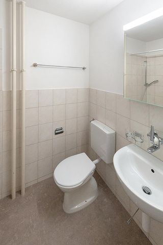 Single-Wohnung sucht Mieter - toll erschlossen - Foto 3