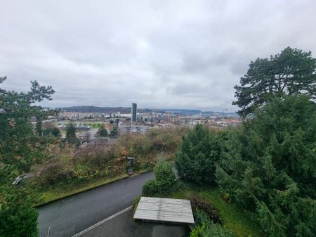 Sonnige Wohnung mit Ausblick über die Stadt Biel - Photo 2