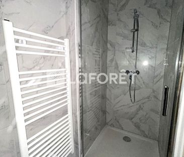 Appartement T3 Vienne à louer - Photo 6