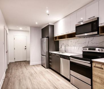 9675 Av. Papineau, app.113, H2B 3C8, H2B 3C8, Montréal - Photo 2