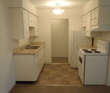 1 Bedroom Suite (Apartment Complex) - Photo 1