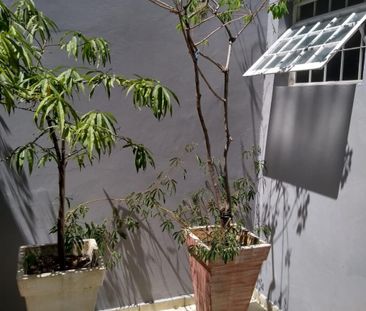 Casa Em Condomínio - Photo 5