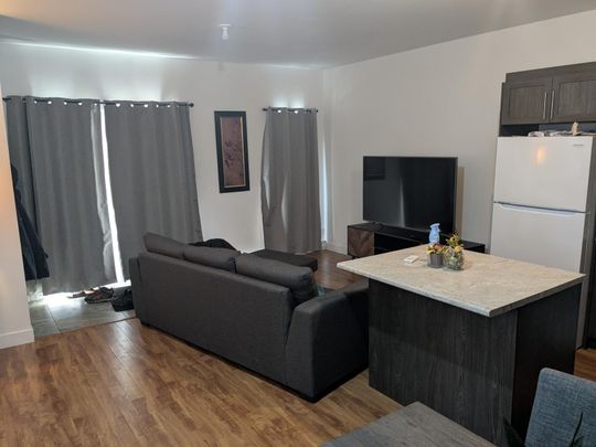 Appartement 3 1/2 à louer à Trois-Rivières (Des Prairies) - Photo 1