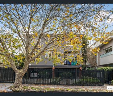 LIGHT-FILLED LIVING IN A PRIME ELWOOD LOCATION - Photo 5