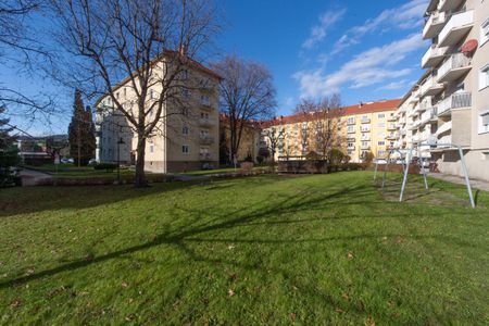 Single- oder Pärchenhit in der Theodor-Körner-Straße! - Photo 5