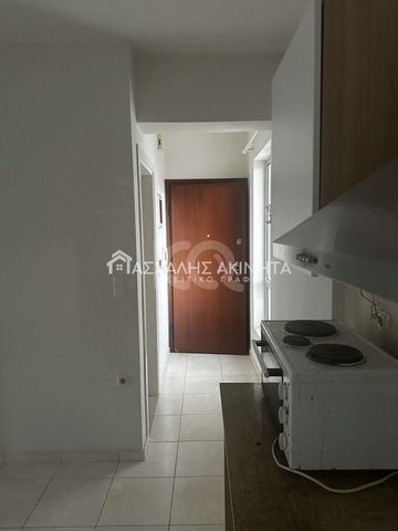 Studio/Γκαρσονιέρα για ενοικίαση Δειλινά (Ηράκλειο Κρήτης) - Photo 2