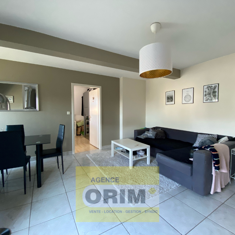 Location Appartement 3 pièces 65m² BARTENHEIM 68870 - Photo 1