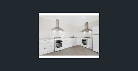 Charming & Cozy 1-Bed, 1-Bath Unit Available Now! - Photo 5